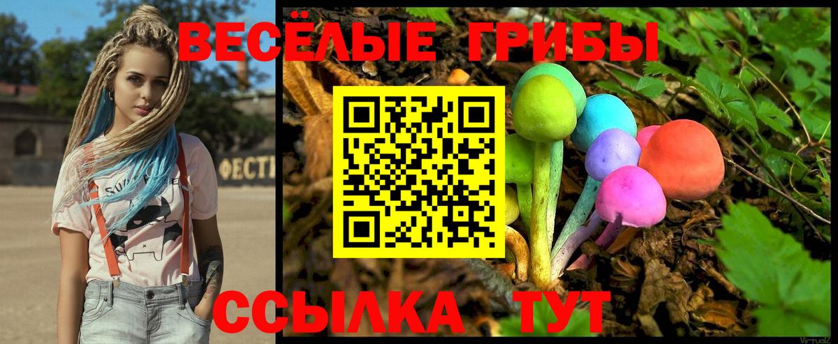 Псилоцибиновые грибы Cubensis  Вход с VPN  даркнет сайт  Лесной 